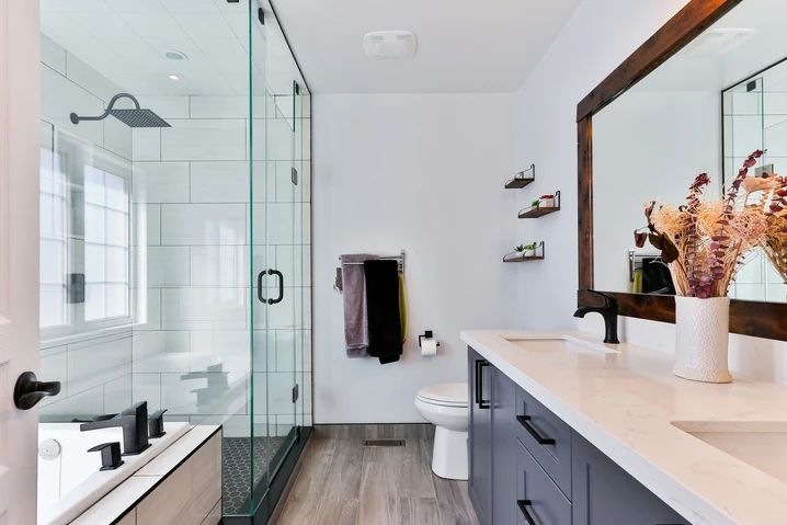 Bathroom sink with gnats